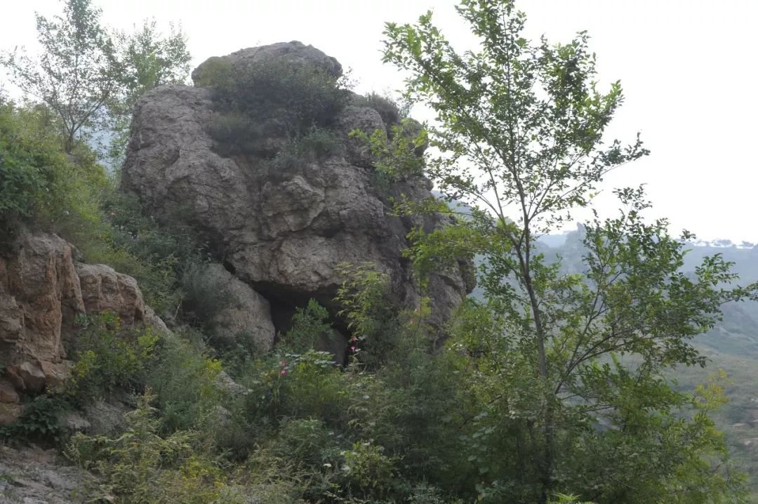 想知道岚山洞里三姑娘是什么妖精吗端午节龙山庙会文化典籍免费送