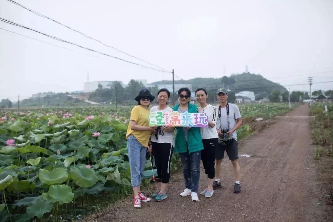 世外荷源" 趁风光正好 一起邂逅 泾县百亩荷花园 地址:云岭镇·建设村