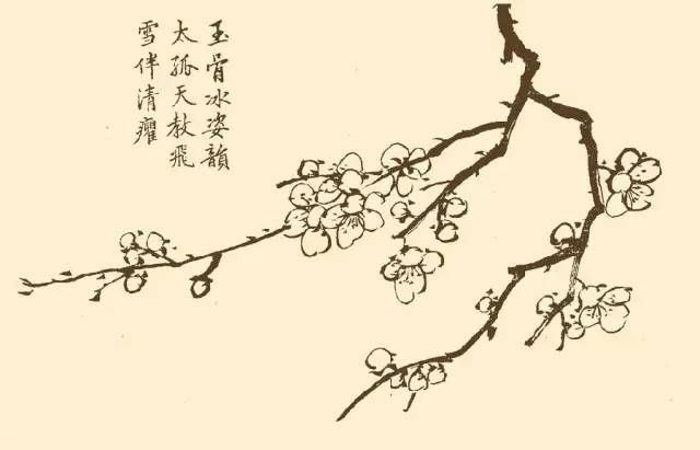 100幅白描梅花练笔用