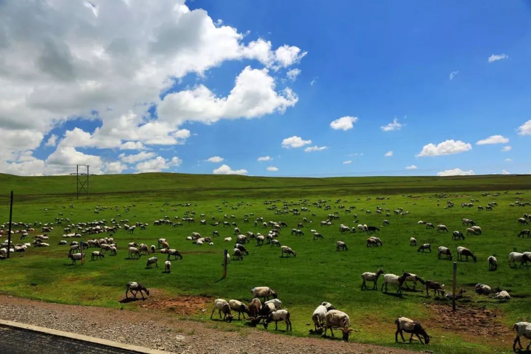 "旅游 农牧业"助力我省全域旅游腾飞