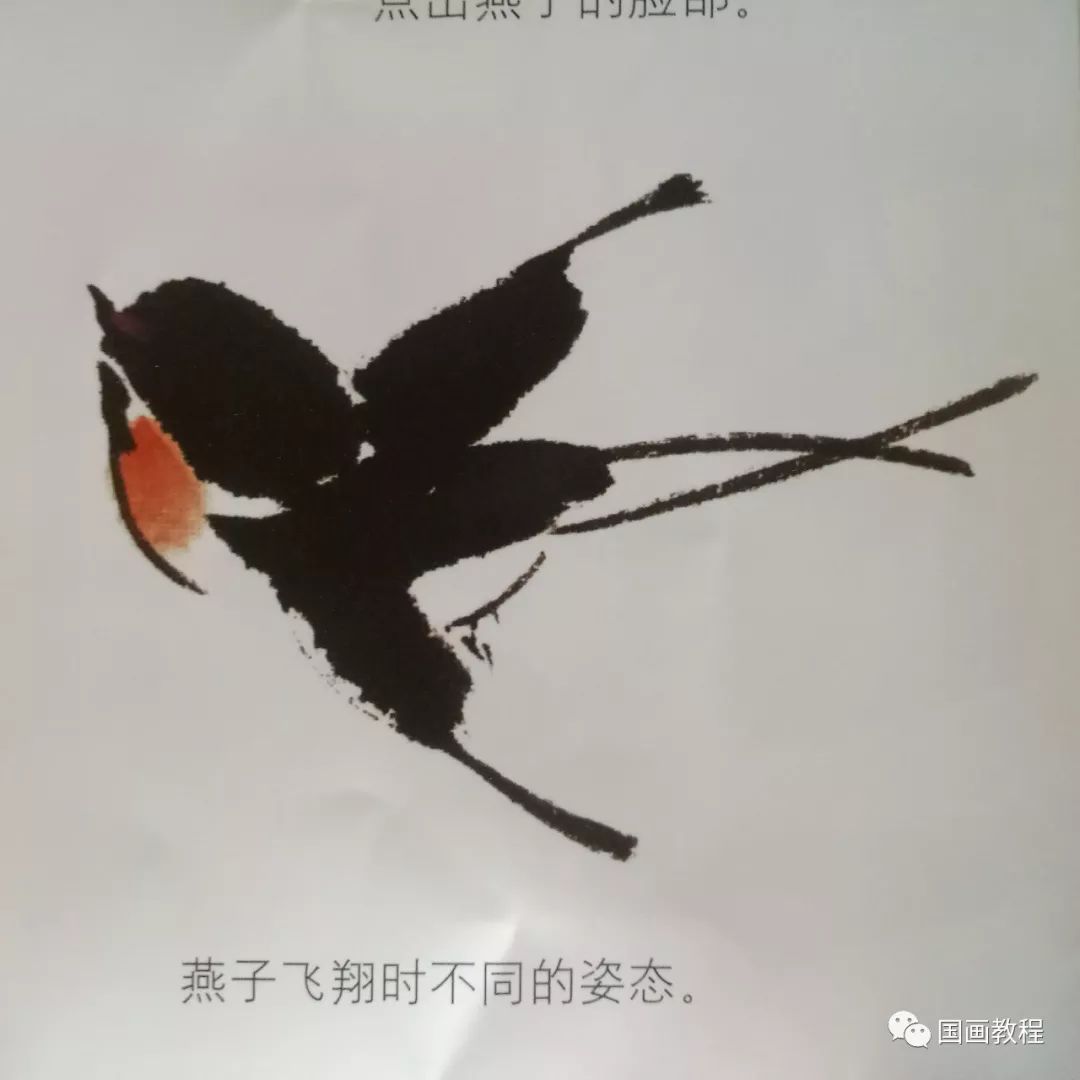 燕子比较常见,也是比较好的国画题材.