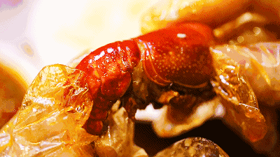 【孕妇可以吃龙虾吗】孕妇吃龙虾的注意事项_孕妇饮食禁忌
