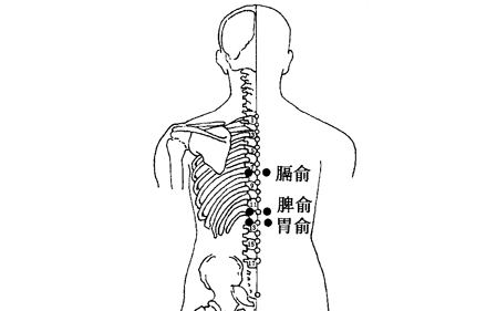 养生保健--脾胃好的女人,想得妇科病都难!