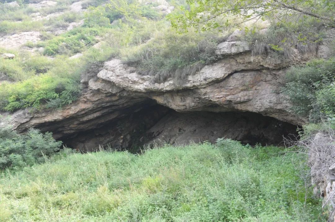 想知道岚山洞里三姑娘是什么妖精吗端午节龙山庙会文化典籍免费送