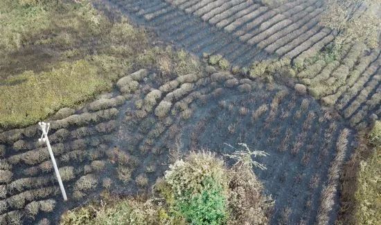 【上级精神】贵州省全力处置中石油天然气输气管道晴隆沙子段泄漏燃爆