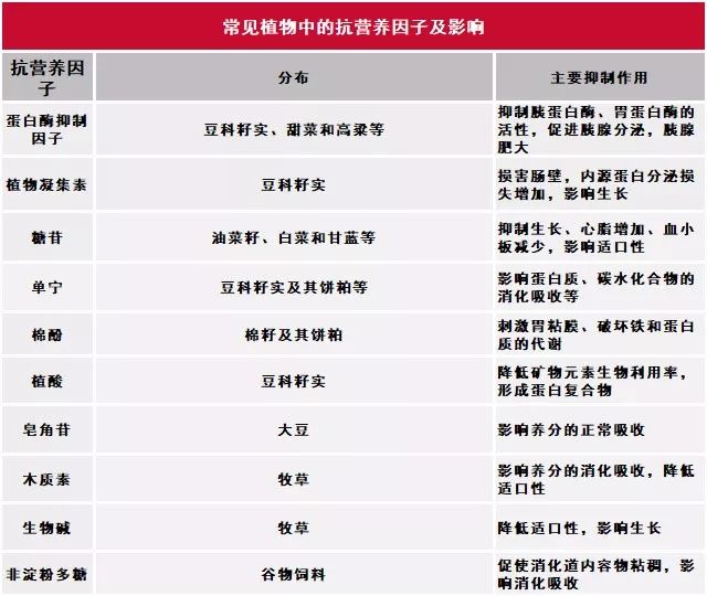 降低饲料营养物质利用率的黑手抗营养因子