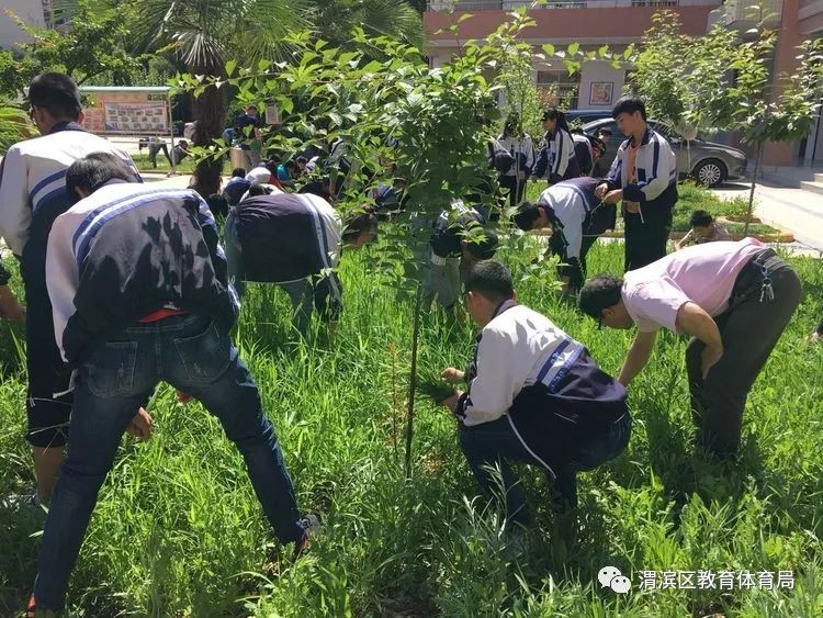 人人动手美化校园相家庄中学开展义务拔草活动