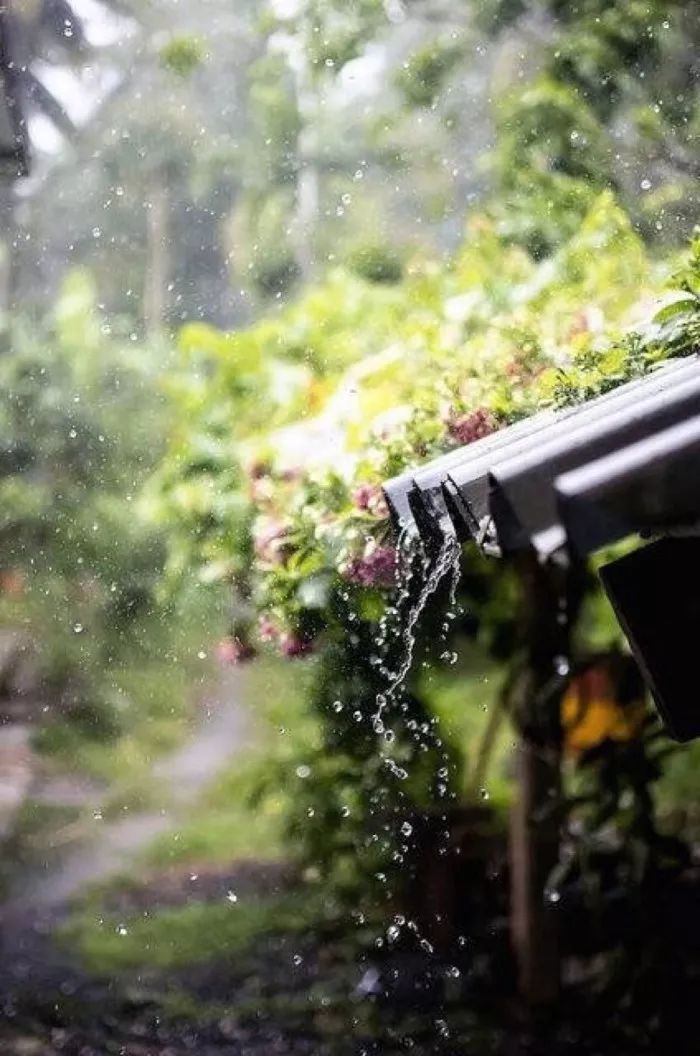 【晚安心语】有雨敲窗,心却静如止水