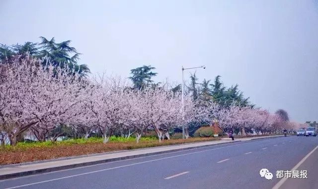 徐州有多少人口_高质量发展潮正涌 上 从 三问 出发 徐州,为什么要问自己