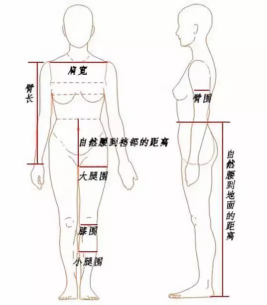 认识自己 | 了解自己的身体数据,才能买到合身的衣服!