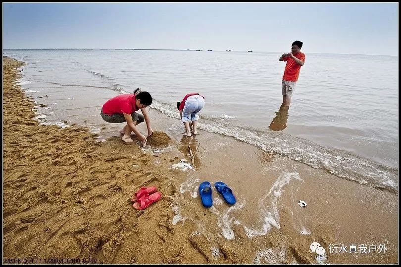 618白沙湾挖海鲜吃海鲜大咖挖到的海鲜统统都可以带回家哦