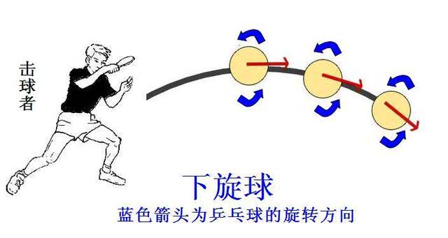 从零开始学乒乓球(9)乒乓球的旋转浅谈 懂这些你就不是菜鸟了