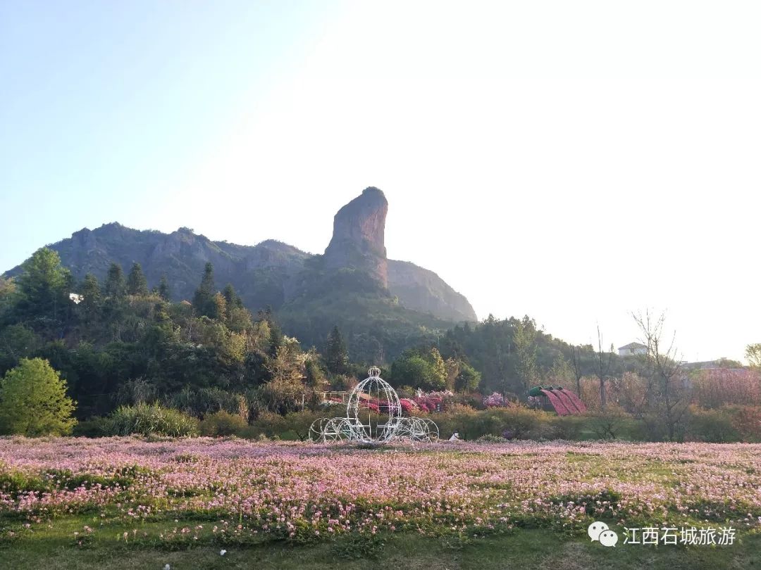 通天寨创5a景区项目群开工,花海 温泉助推石城旅游新