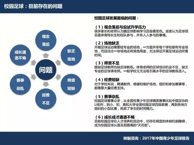 2017年中国青少年足球报告