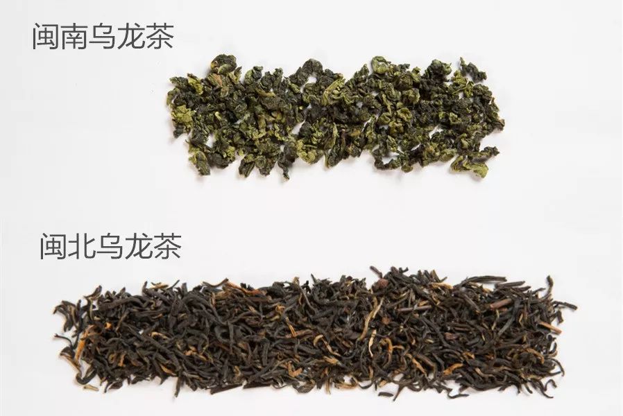 人参乌龙茶