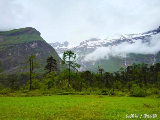 林芝乡镇人口多_林芝公务员乡镇图片