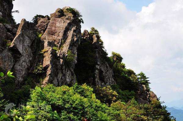 如果你还没决定去哪避暑 来我清流大丰山吧_搜狐旅游