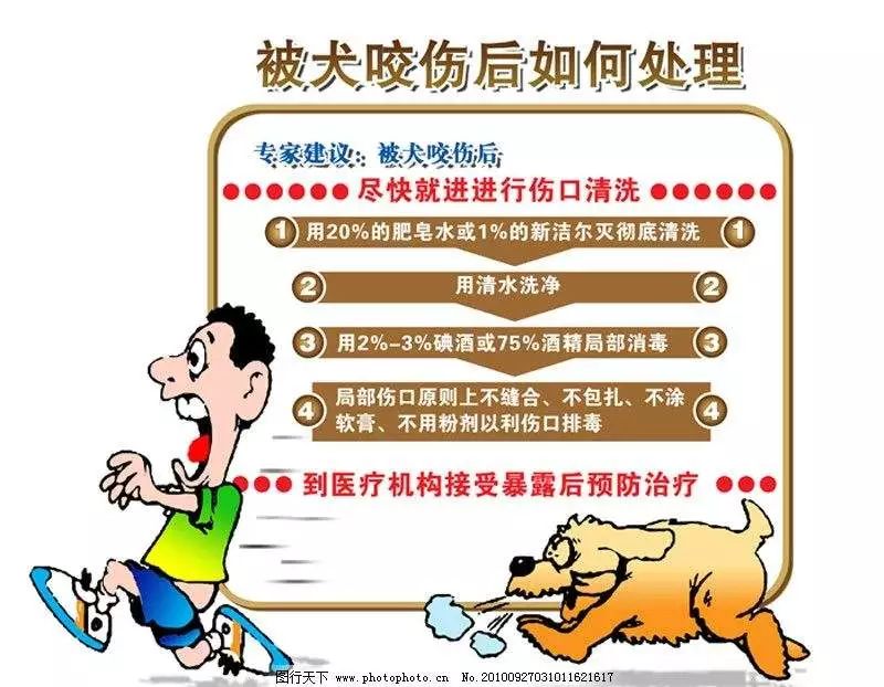 狂犬病人口水会传染吗_科普︱狂犬病的危险被夸大了吗(2)