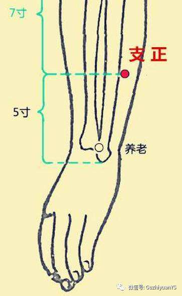 支正穴准确位置图和作用