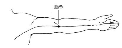 五,曲泽穴—躺在肘窝