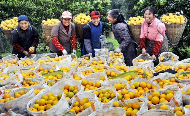 4大种植误区你占了几个？决定收成生死天博电竞下载的关键……(图9)