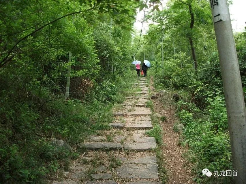 论九龙山风光岩口溶洞的开发价值与隆回旅游发展之概述