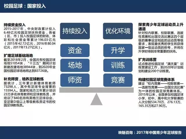 2017年中国青少年足球报告