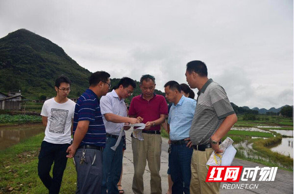 邓晨岚 李光平)6月13日,湖南省交通厅专家王吉平一行赴江华县大圩镇