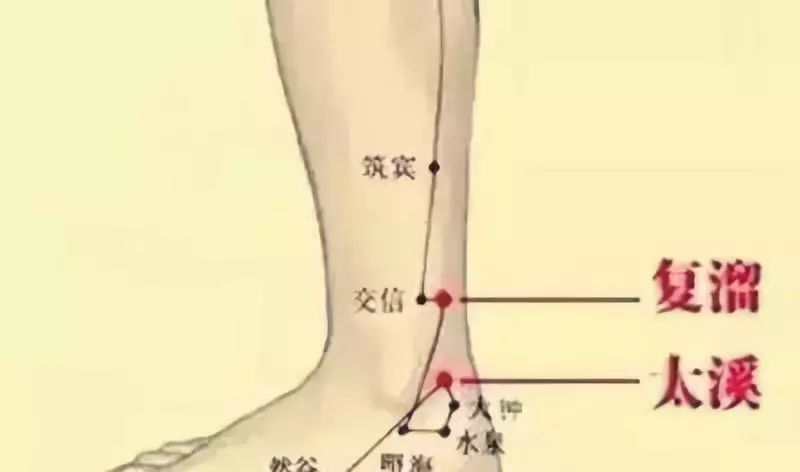 4,复溜穴:位于小腿内侧,太溪直上2寸跟腱的前方.