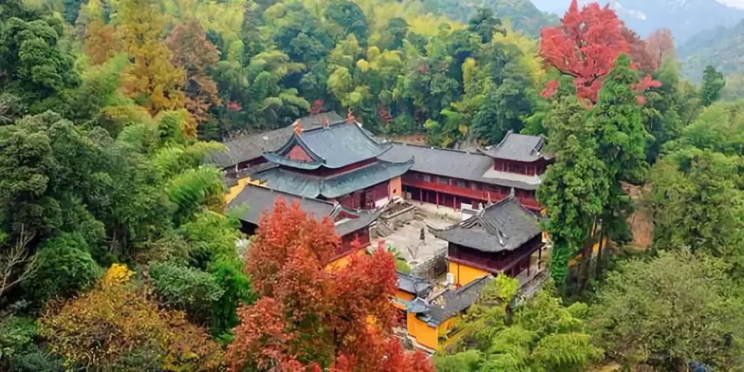 2016天台人口_好消息 天台人民一直关注的最长的隧道提前贯通了(3)