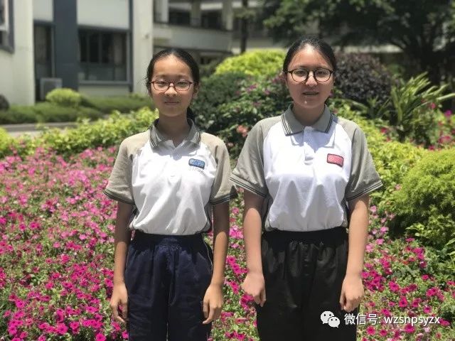 喜报我校在第三十届温州市中小学艺术节美术类比赛中斩获佳绩