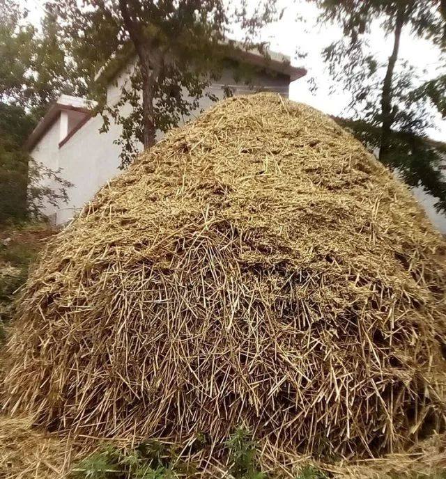 美文打麦场农耕文化的缩影