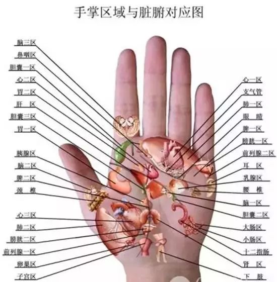 用手部反射区治病不花钱,无副作用,效果还好.