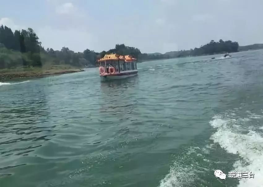 这里的美食爽胃,来这里一定要尝尝鲁班湖特色美食"鲁湖鱼,鱼肉粽子