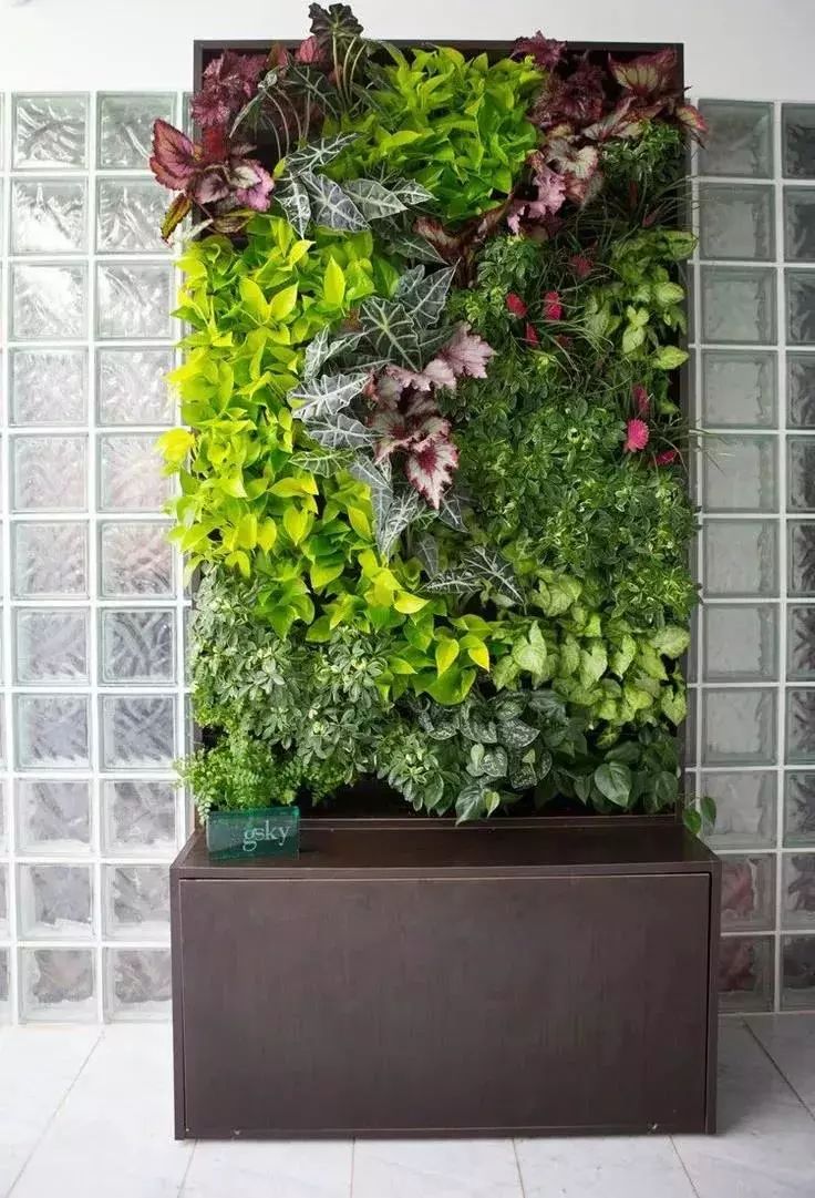铺贴式植物墙