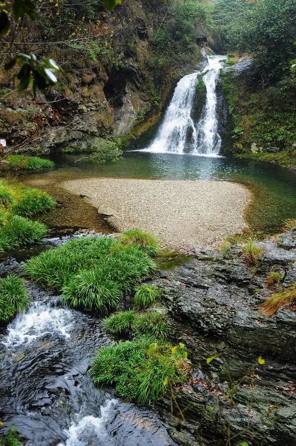 西递石林,屏山,木坑竹海,塔川,卢村,关麓,五溪山,打鼓岭八景区门票的