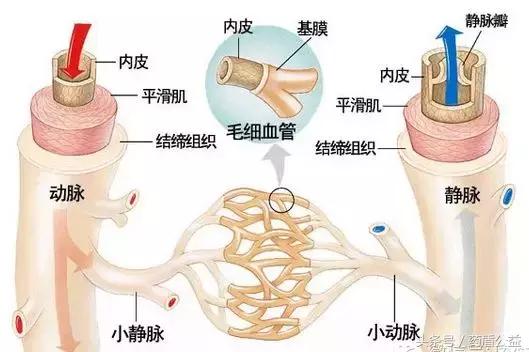 输液输的血管疼怎么办