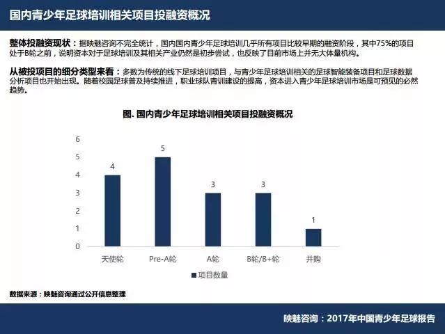 2017年中国青少年足球报告