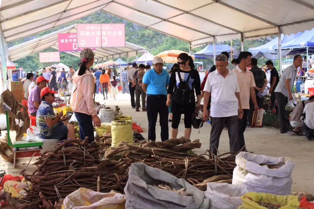 端午药市是靖西独具特色的民族医药习俗,该活动始于唐宋,盛于明清