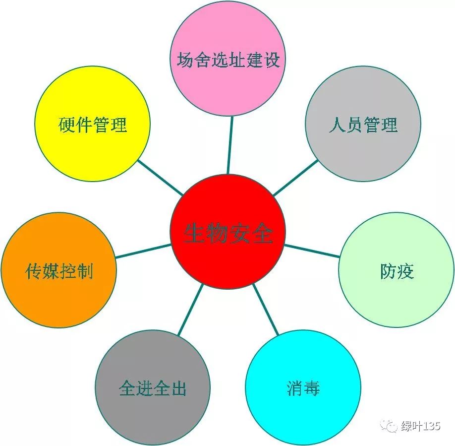 【猪毛信】猪场的生物安全你做到了99%,也等于零!