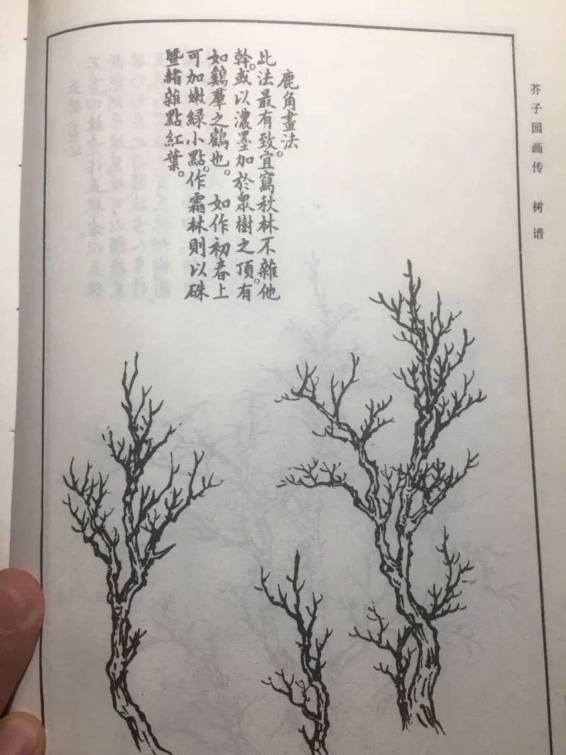 小二画唠芥子园基础学习