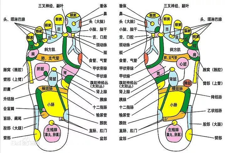 足底反射区调理  点,推,刮,按,揉,针对个人体质进行深入调理,按了马上