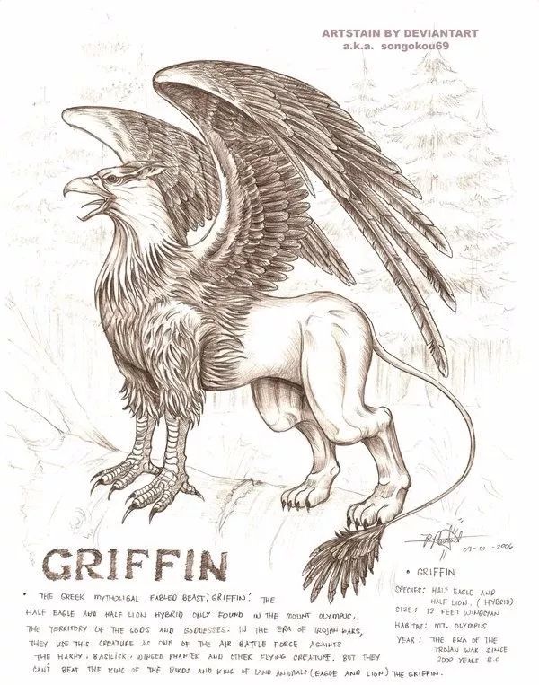 黄金宝藏的守护者—狮鹫 griffin