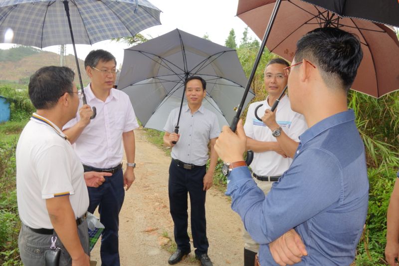 在序号125交办案件现场 周海金强调, 投 诉反映的问题务必在限期内