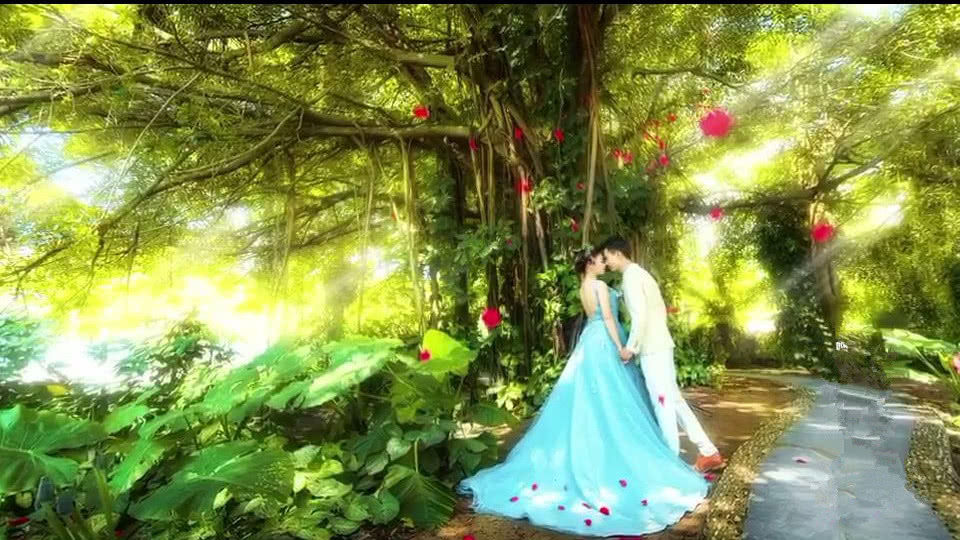 植物园拍婚纱照_太原植物园