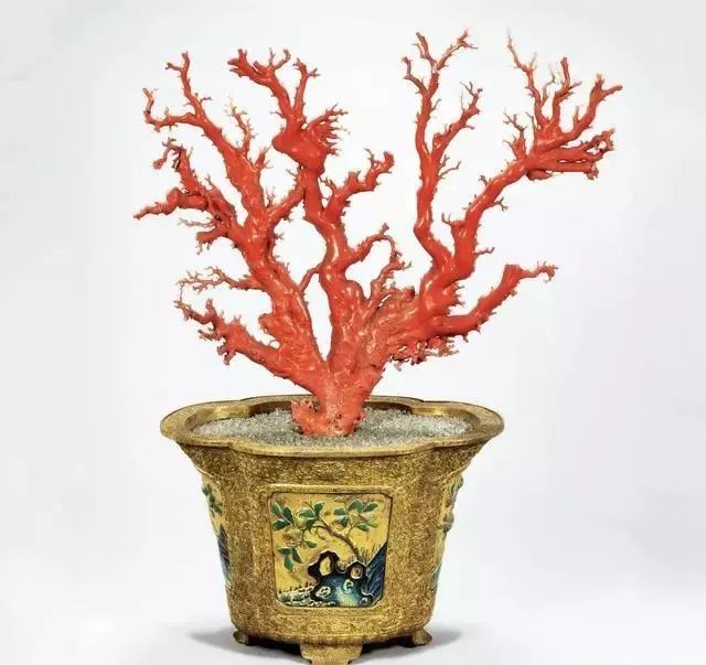 故宫博物院里收藏了哪些红珊瑚珍品？_手机搜狐网