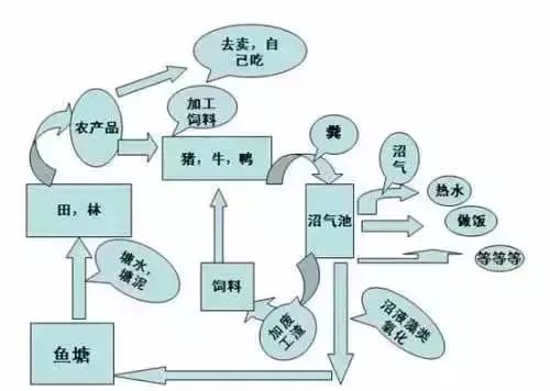 产品与艺术的结合,生产与是生活的结合,将传统农业的产业业态升