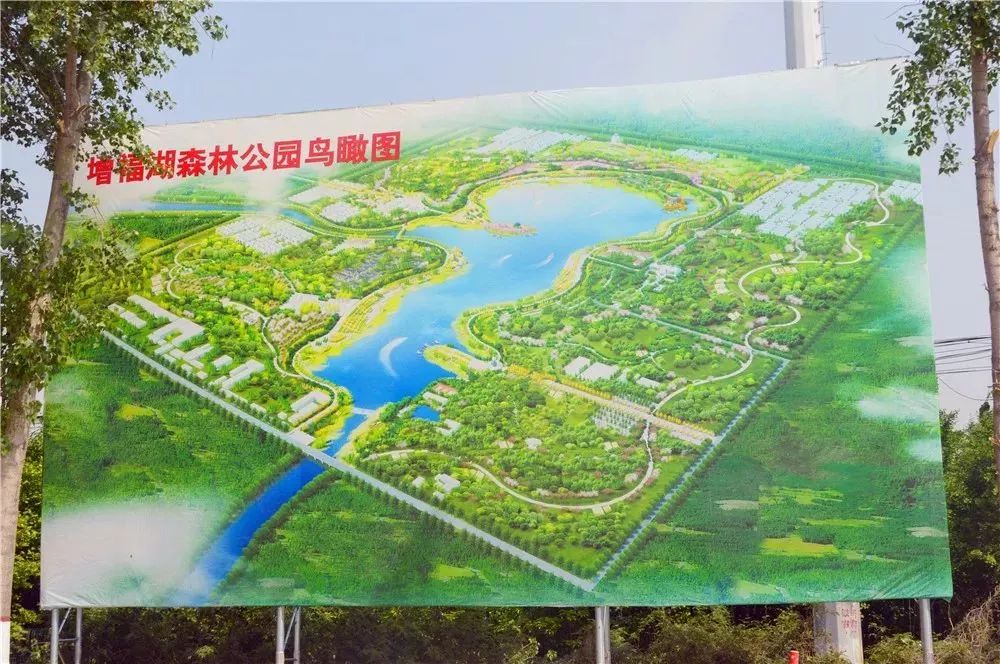 增福镇将围绕增福湖建设4000亩森林公园,上图是最新规划设计的效果图