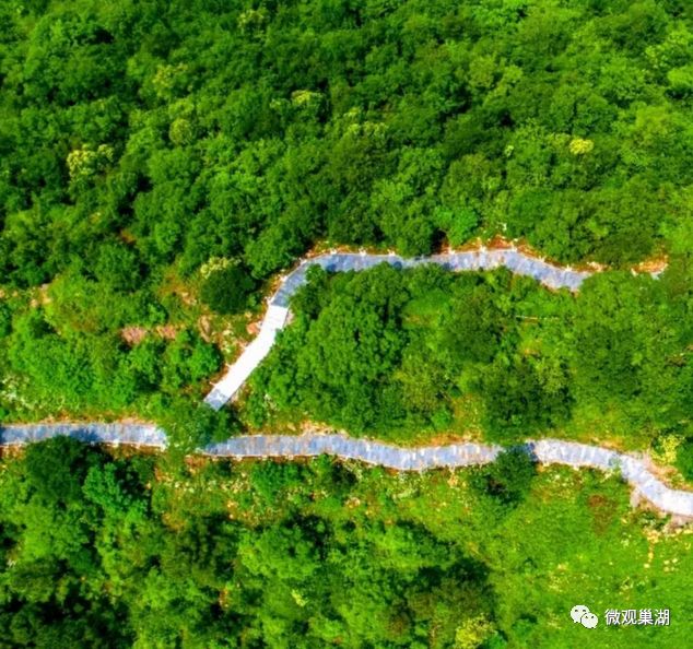 巢湖人,这个公园有条环山绿道,还可登山鸟瞰巢湖,你知道在哪里吗?