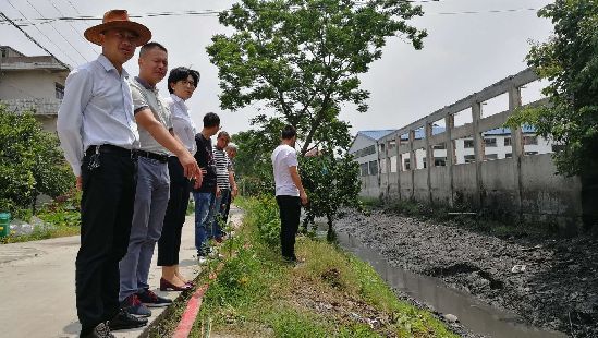 南湖区五水共治专项督查组对凤桥镇开展专项督查